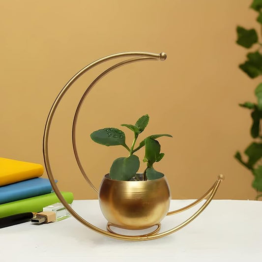 TERRA BLOOM ARTISANS Crescent Style Planter Vessel