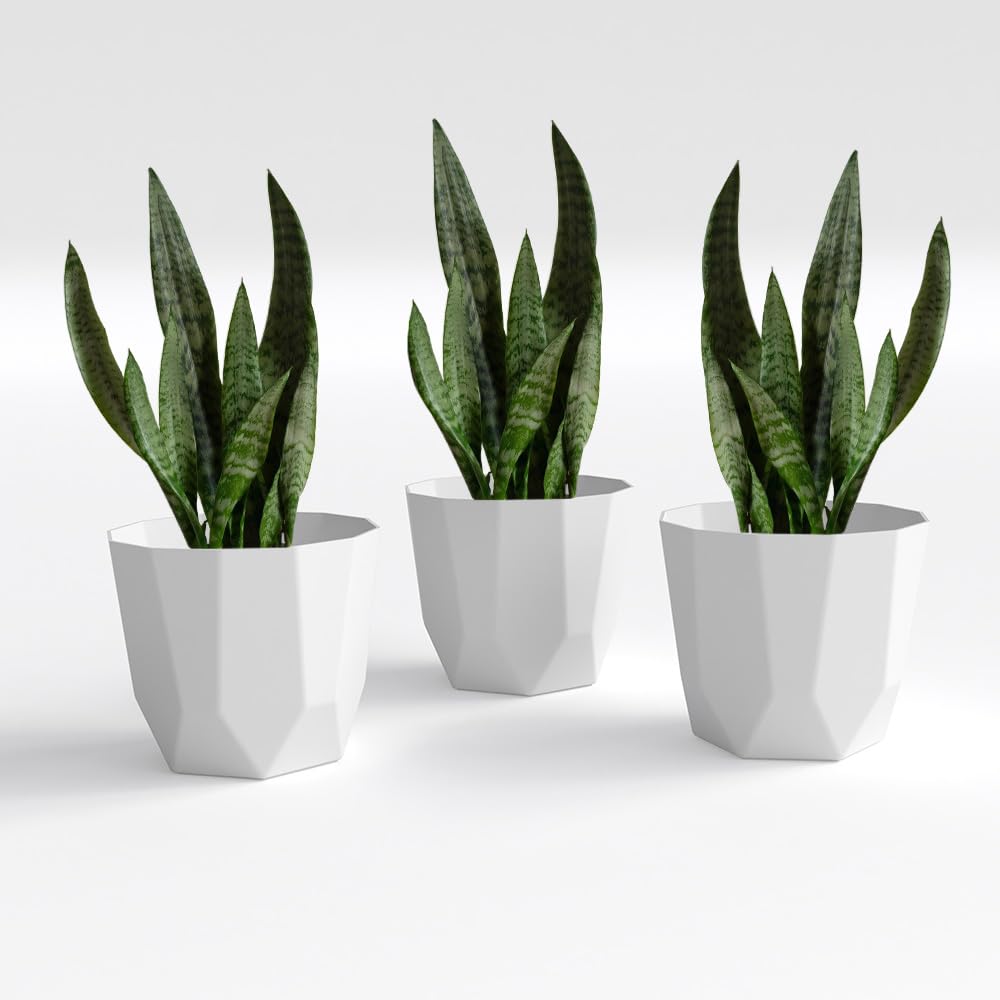 YARDBLOOM Hexa Collection 8-Inch Triple Set Premium Plastic Planters