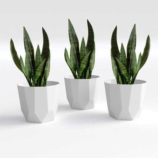 YARDBLOOM Hexa Collection 8-Inch Triple Set Premium Plastic Planters