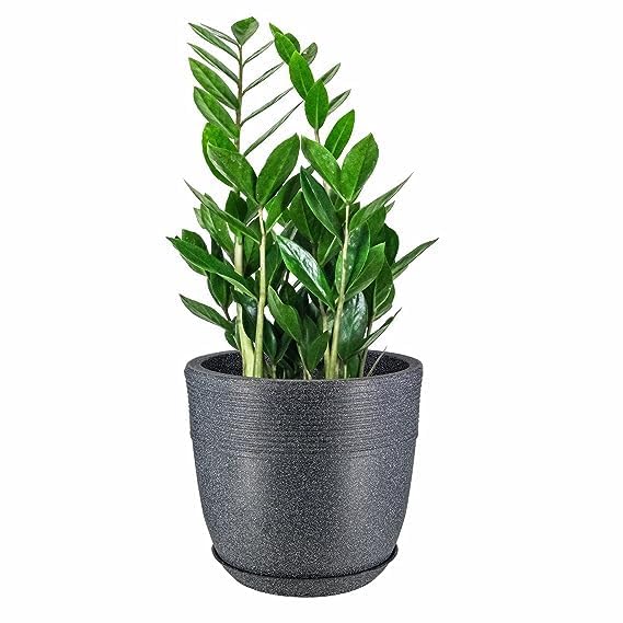 Elegant Marble-Effect Fiber Planter by CrystalGrow Rotational Molding