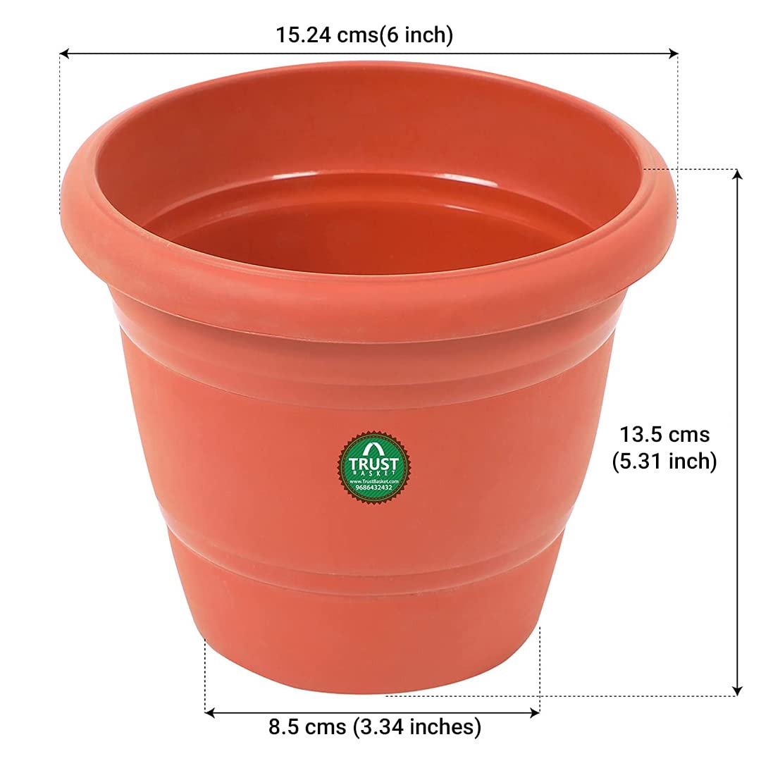 TerraBloom UV Treated Plastic Round Pot (6 Inches) - Set of 6