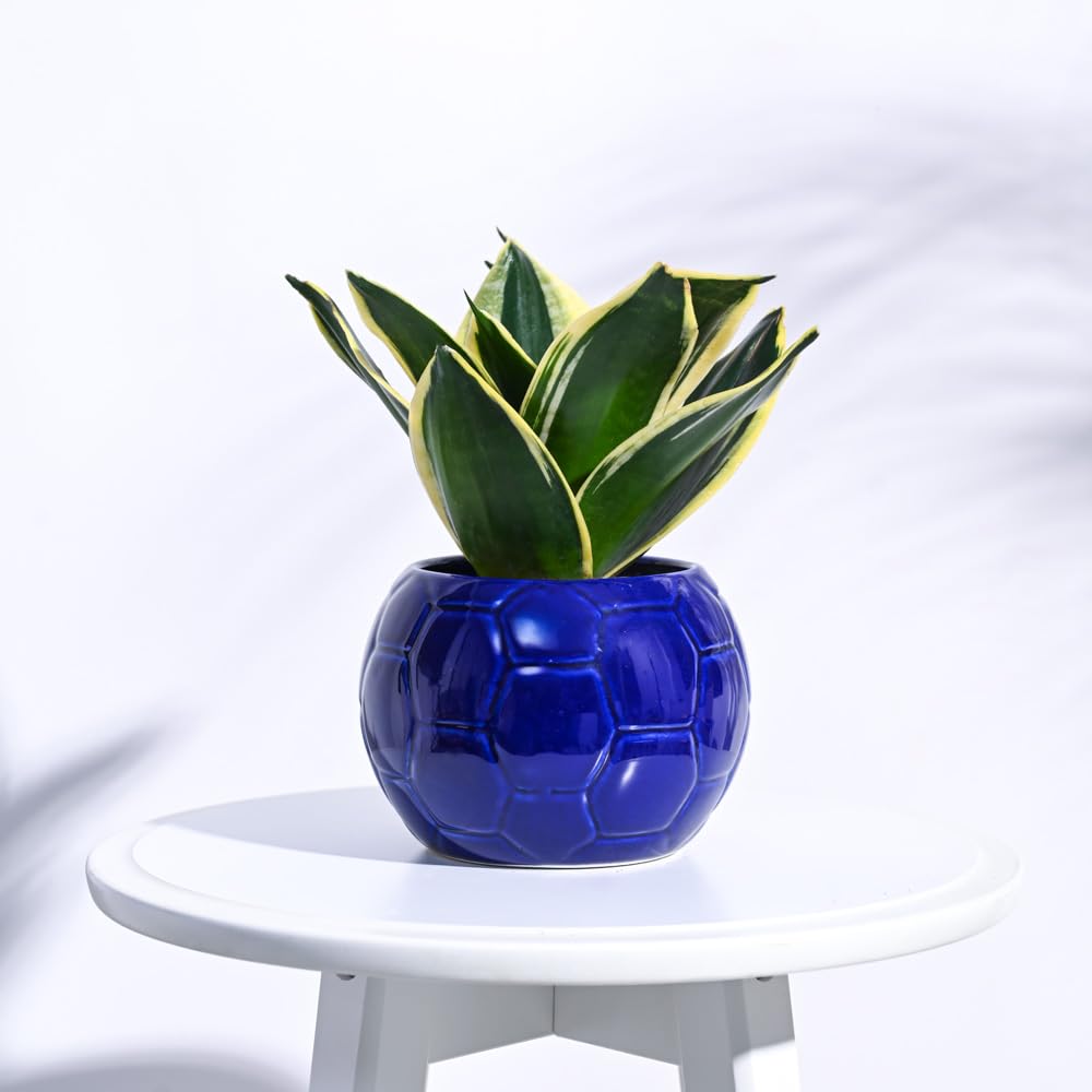 UnityPots Sports Ball Ceramic Container (Blue)