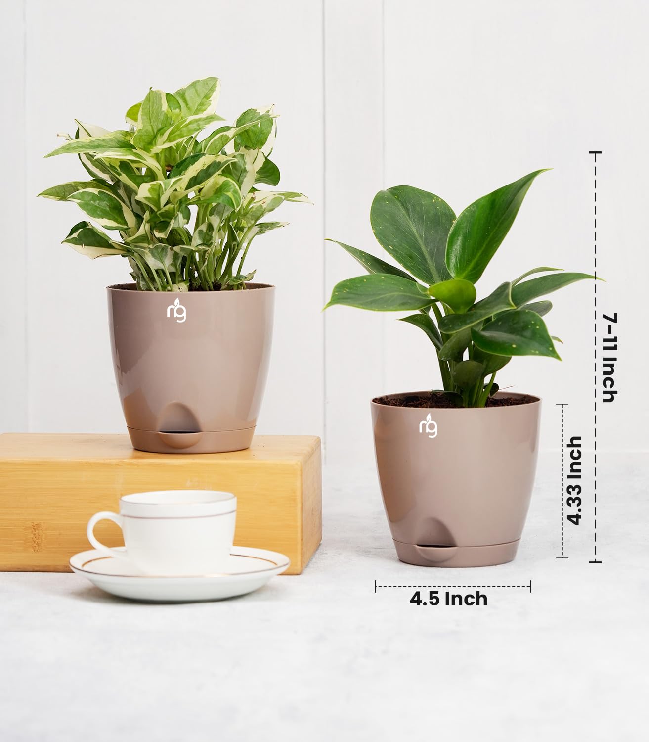 Nectar Combo of 8 Mocha Self-Watering Plastic Pots with Glossy Finish