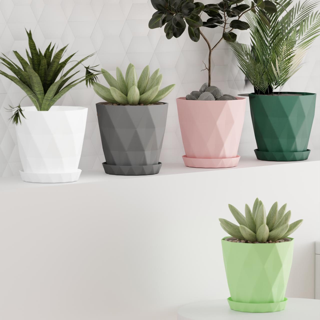 LushGrow Circular Plastic Plant Containers for Indoor Gardening