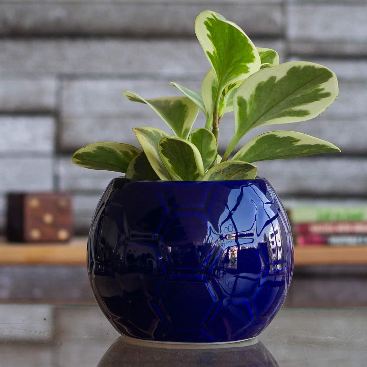UnityPots Sports Ball Ceramic Container (Blue)