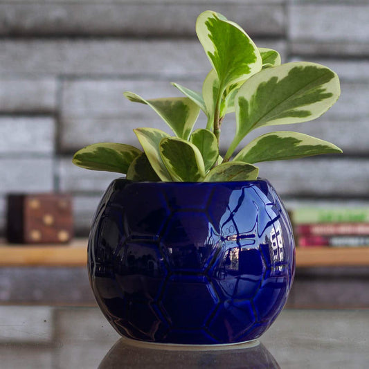UnityPots Sports Ball Ceramic Container (Blue)