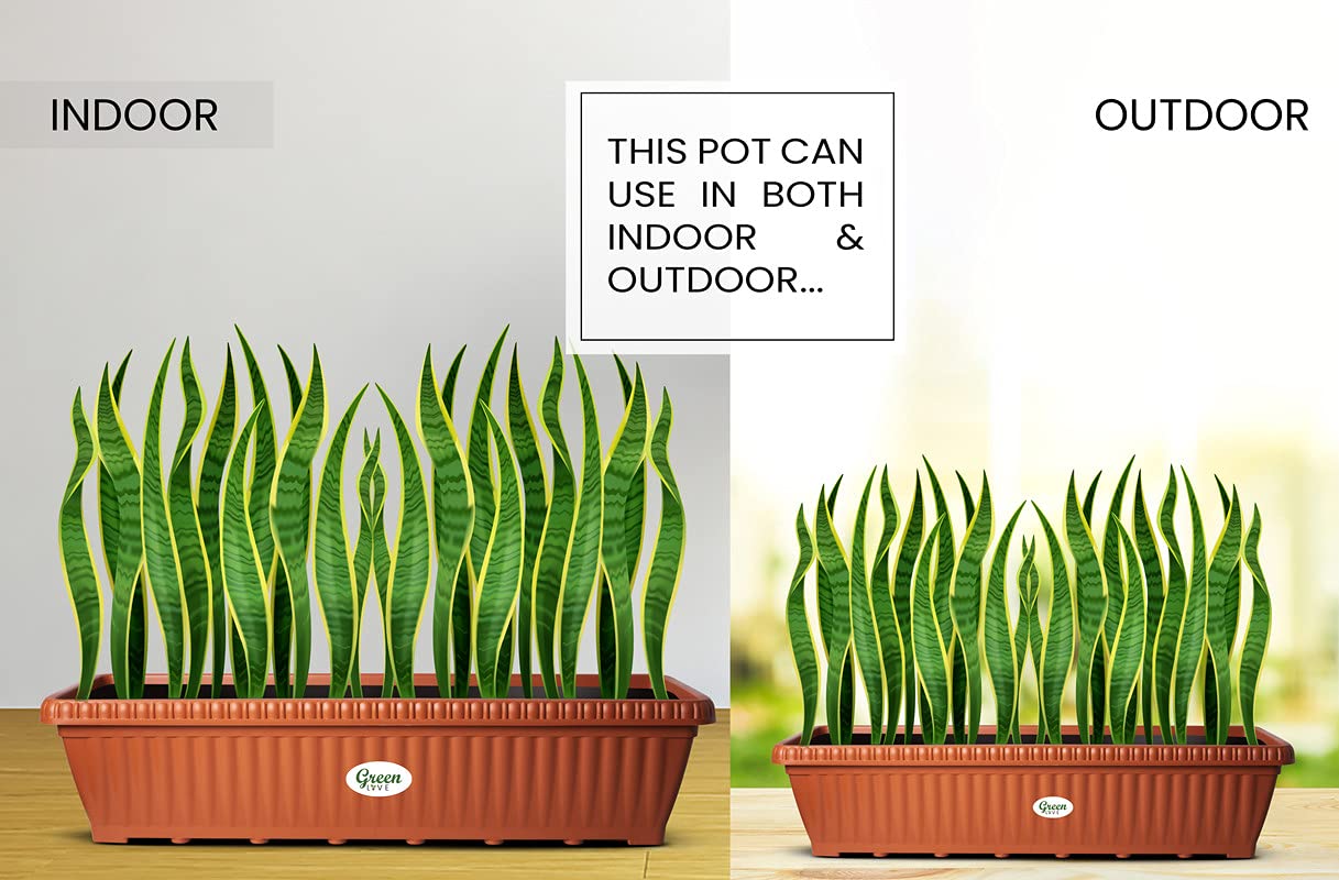 GrowMaster® 25" Rectangle Plant Container with Water Catch Tray