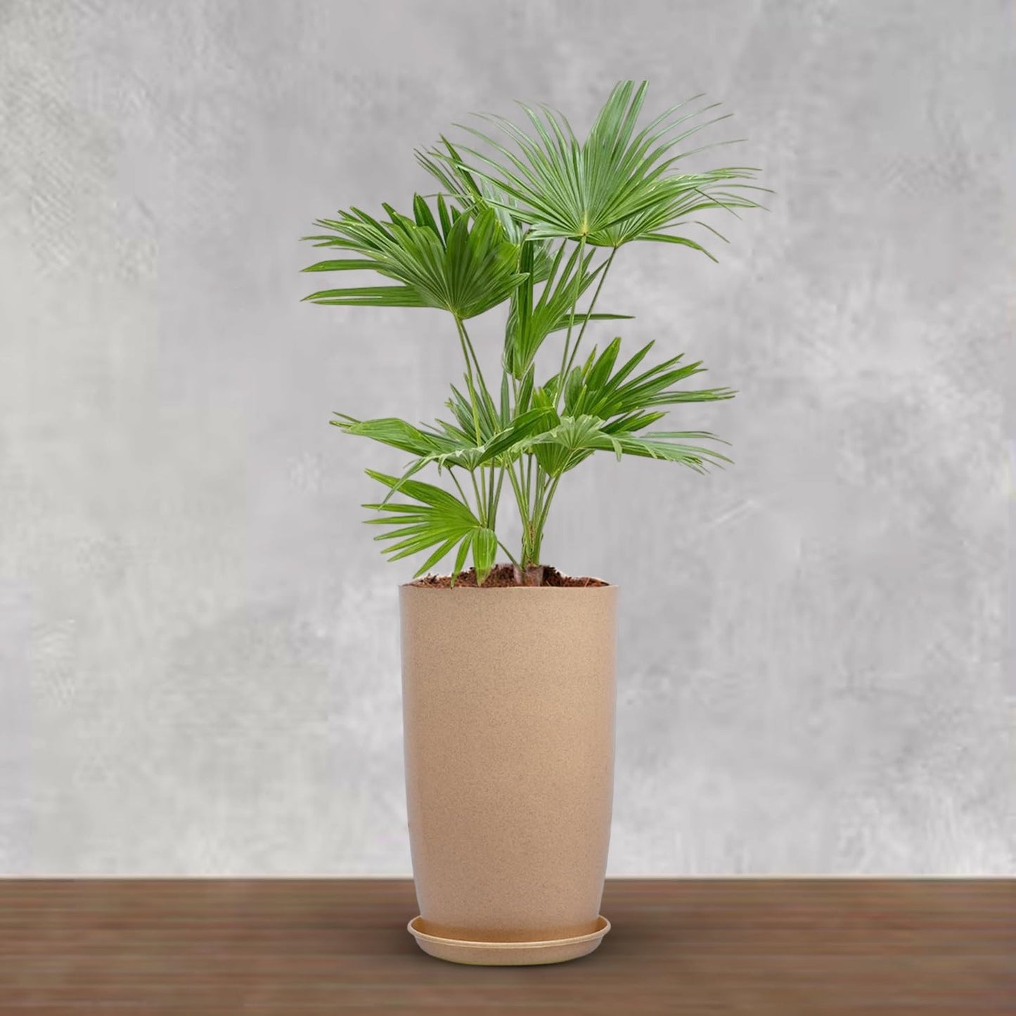 BlossomVault 18 inch Beige Marble Textured Flower Pot