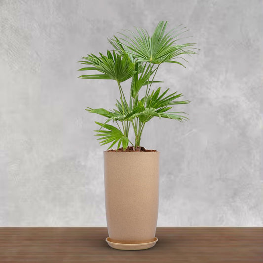 BlossomVault 18 inch Beige Marble Textured Flower Pot