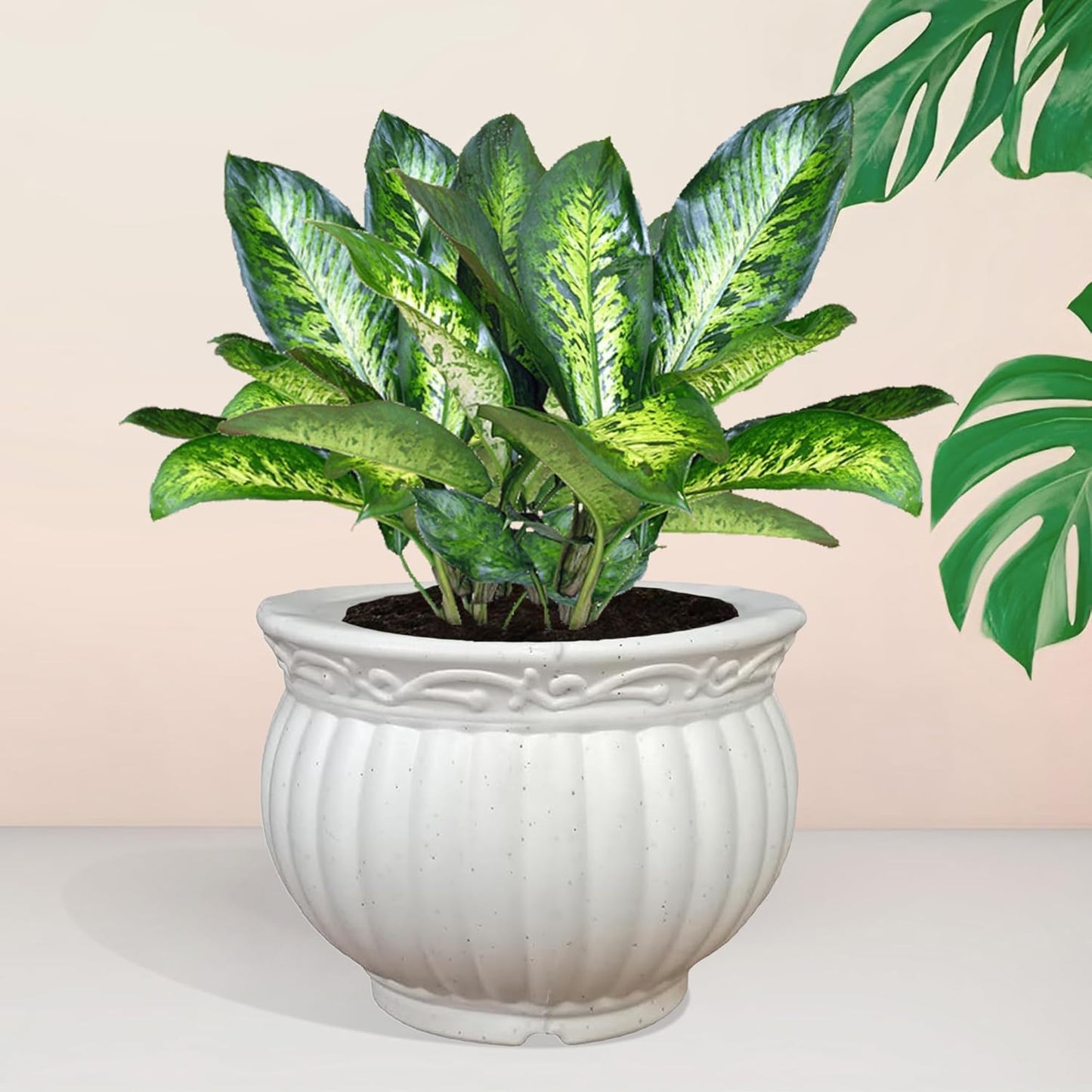 Harmony Haven Kanha Matki Flower Pot