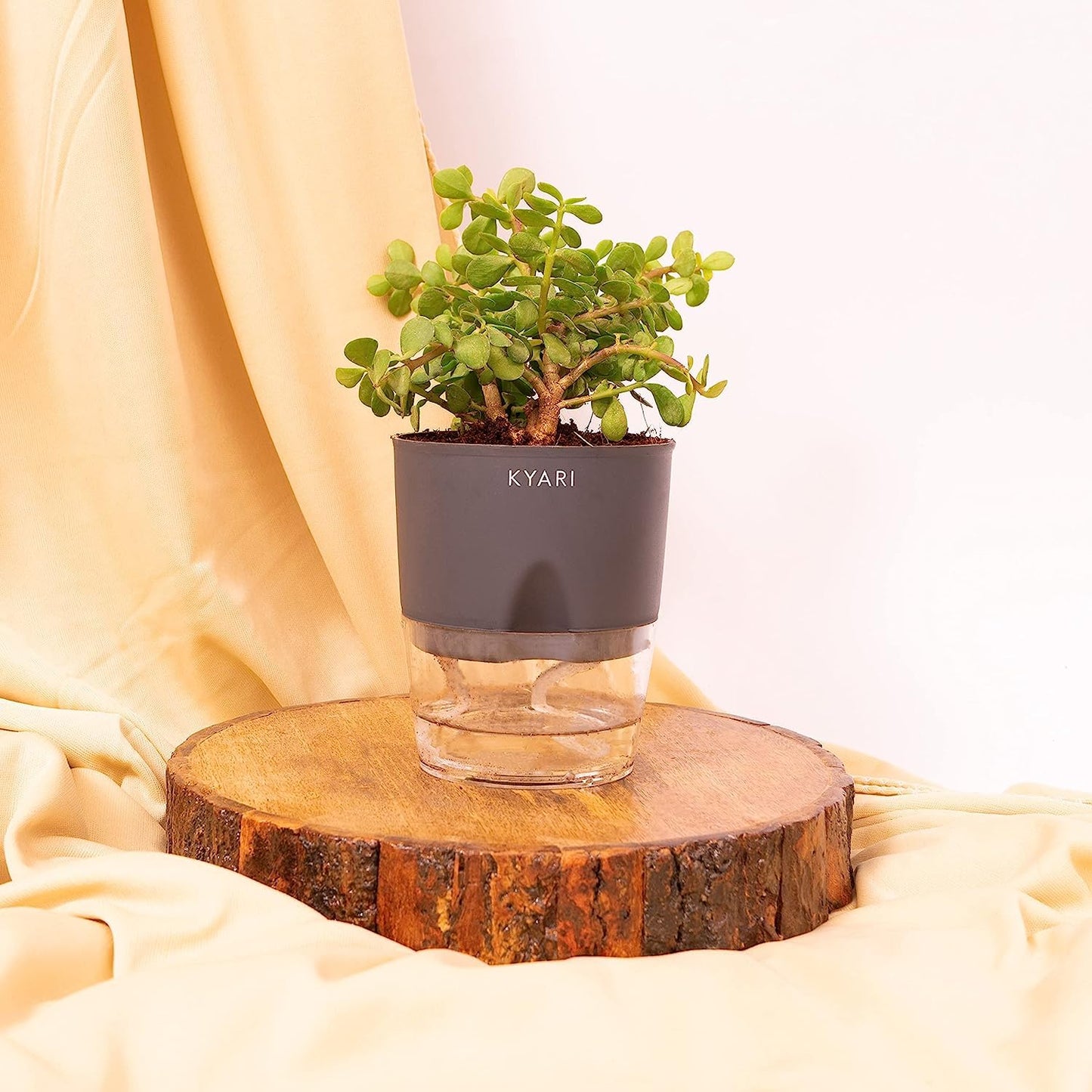 KESTRA Set of 3 Charcoal Self-Watering Planters