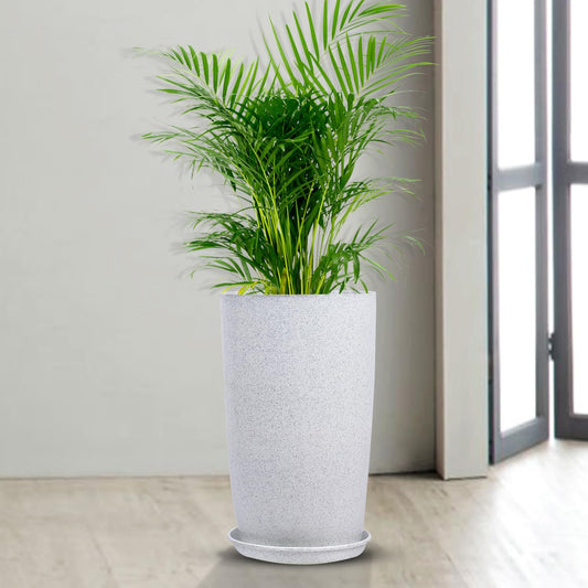 Kindred Botanics Ceramic Plant Container with Base Plate