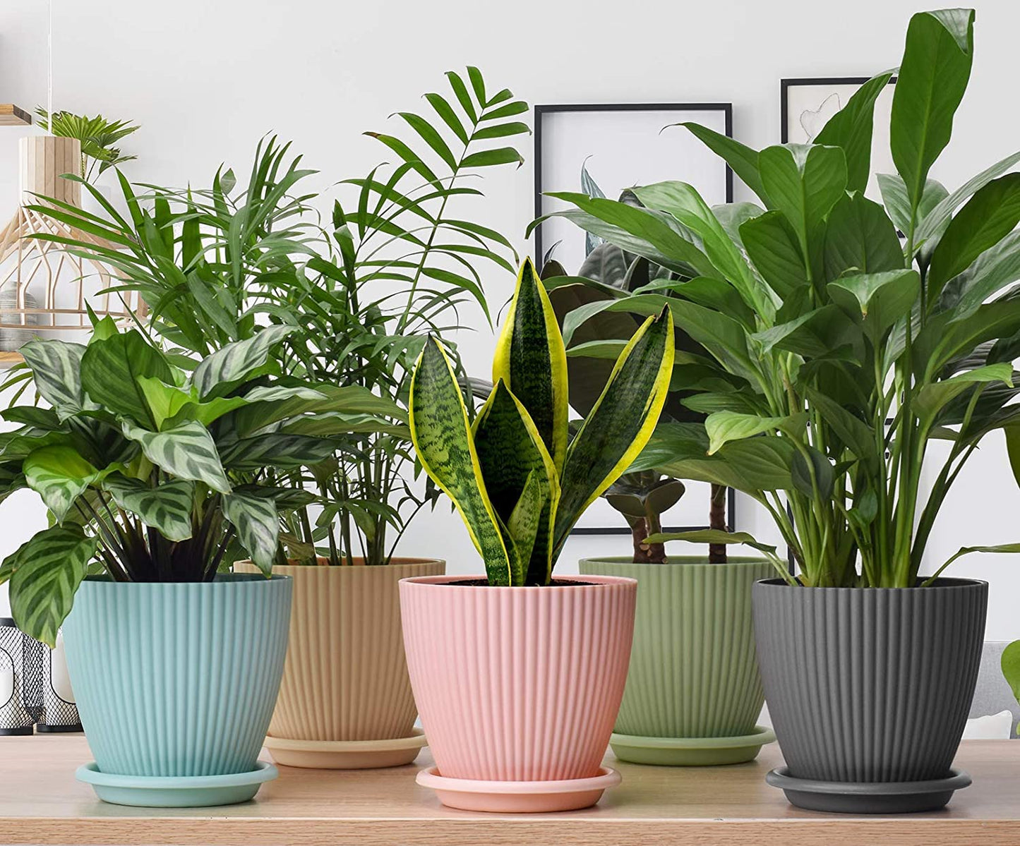 Inscape Plastic Round Flower Pot with Tray | Plant Pot for Home