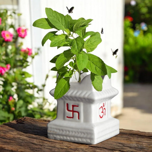 EarthBloom 5 inch Tulsi Ceramic Plant Pots
