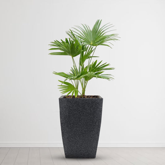 BarefootDecor 12 inch Graphite Marble Pattern Pot