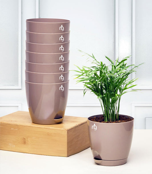 Nectar Combo of 8 Mocha Self-Watering Plastic Pots with Glossy Finish