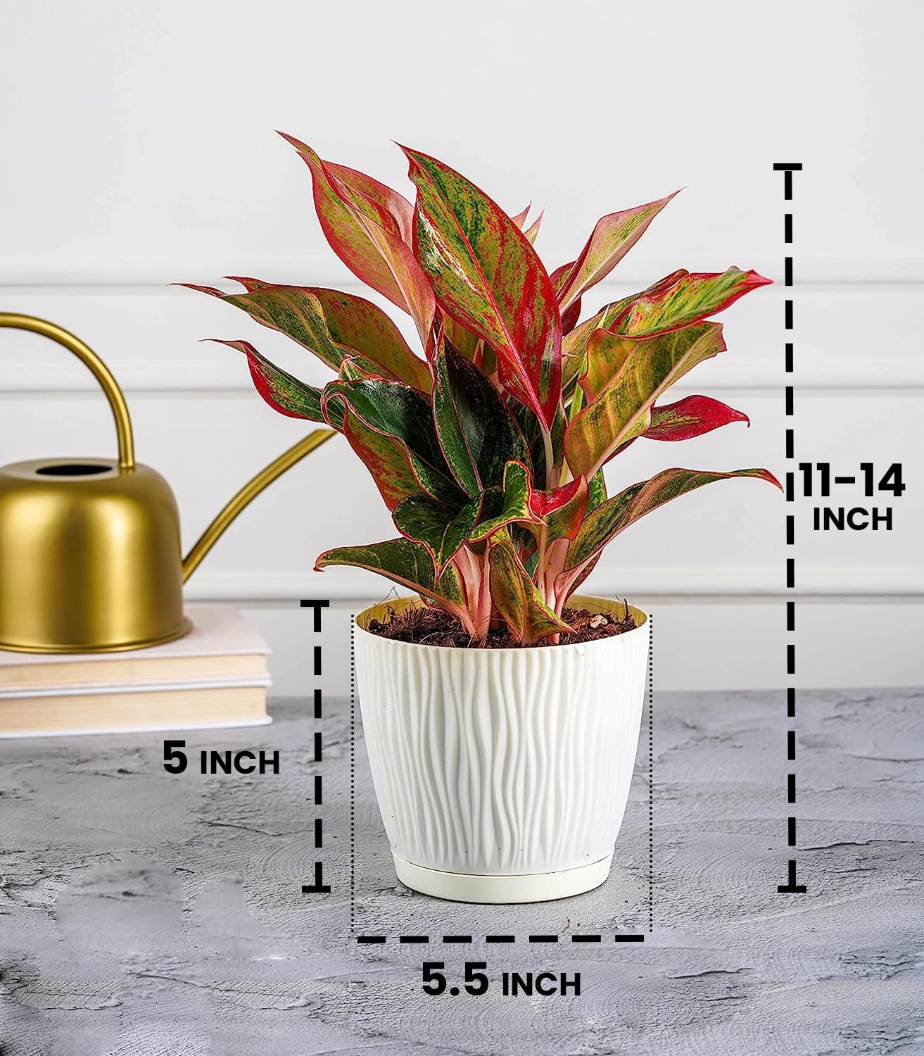 Nova Flora Set of 3 Self Watering Pots for Home