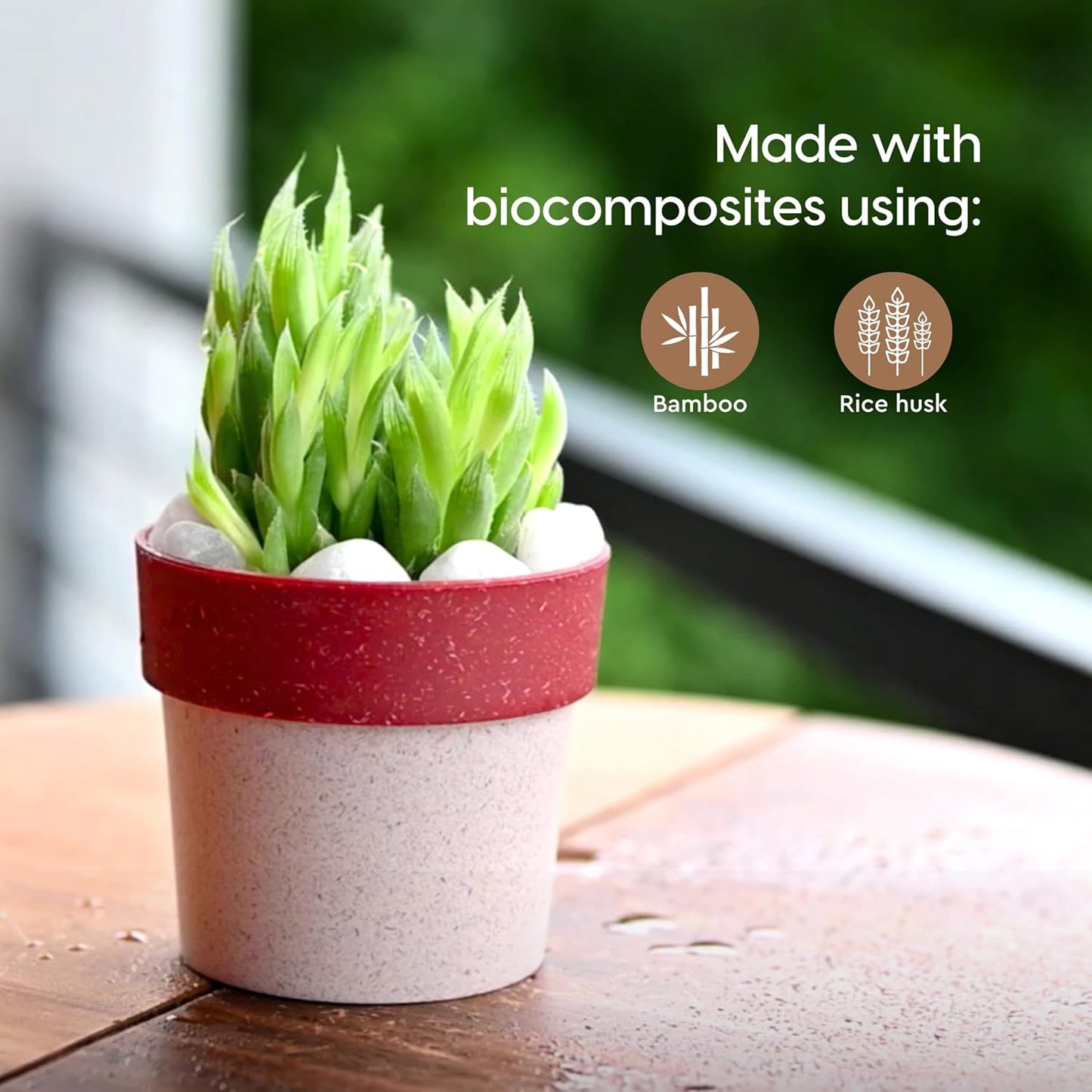 EcoBloom Biodegradable Mini Plant Pots - Sustainable Growing Containers