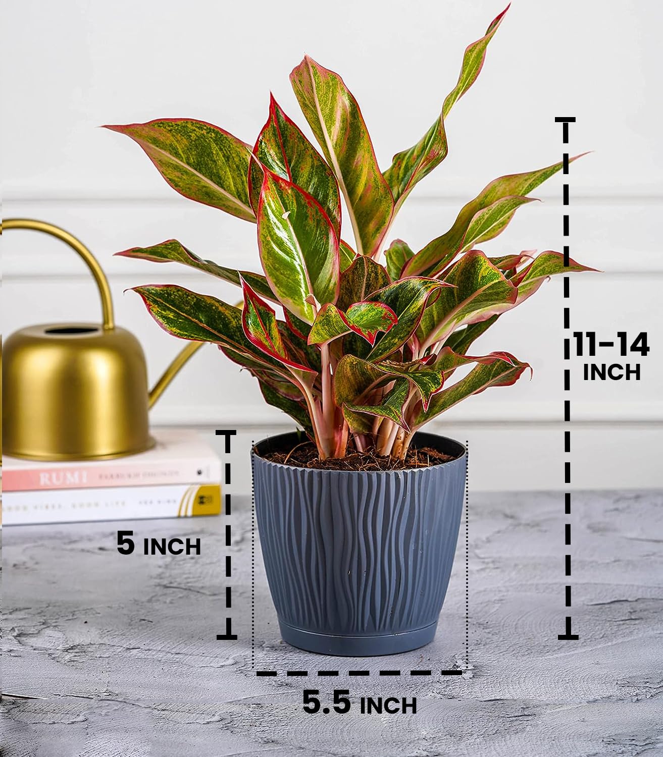 NovaGrow Set of 3 Self-Watering Pots for Home, Decor & Garden