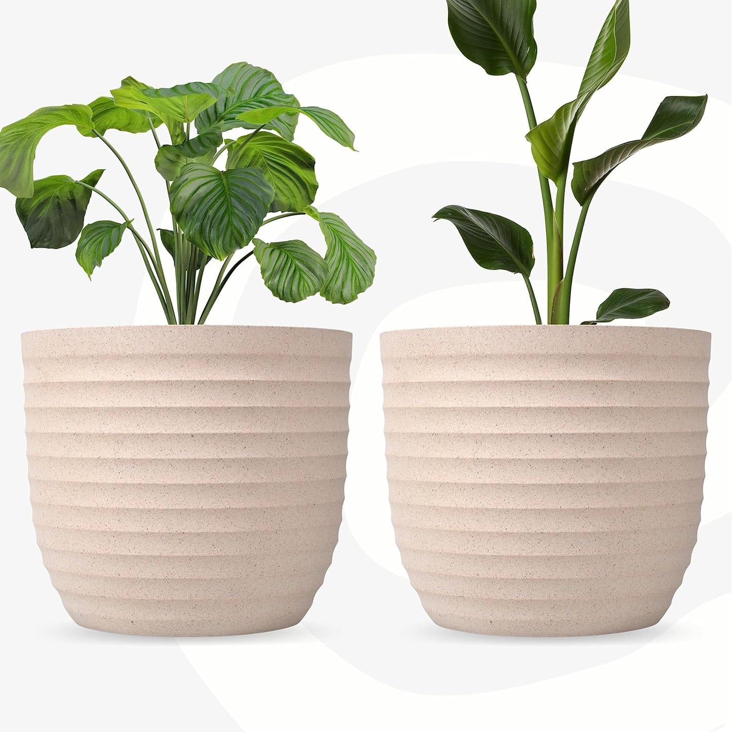 EcoBloom Duo Pack of Sustainable 4" Verona Plant Containers